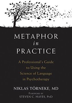 portada Metaphor in Practice: A Professional's Guide to Using the Science of Language in Psychotherapy (in English)