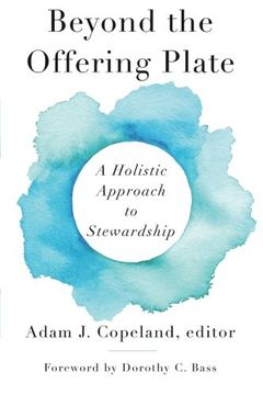 portada Beyond the Offering Plate: A Holistic Approach to Stewardship (en Inglés)