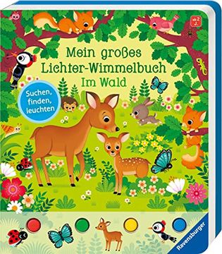 portada Mein Großes Lichter-Wimmelbuch: Im Wald (in German)