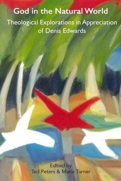 portada God and the Natural World: Theological Explorations in Appreciation of Denis Edwards (en Inglés)