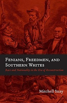 portada Fenians, Freedmen, and Southern Whites: Race and Nationality in the era of Reconstruction (Conflicting Worlds: New Dimensions of the American Civil War) (en Inglés)