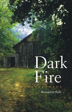 portada Dark Fire (en Inglés)