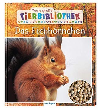 portada Meine Große Tierbibliothek: Das Eichhörnchen (en Alemán)