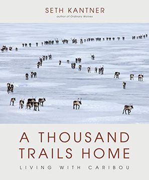 portada A Thousand Trails Home: Living With Caribou (in English)