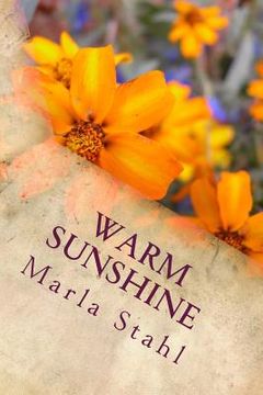 portada Warm Sunshine: Warming Your Soul with Inspiration and Positivity (en Inglés)