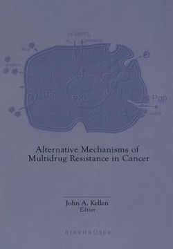 portada alternative mechanisms of multidrug resistance in cancer (en Inglés)