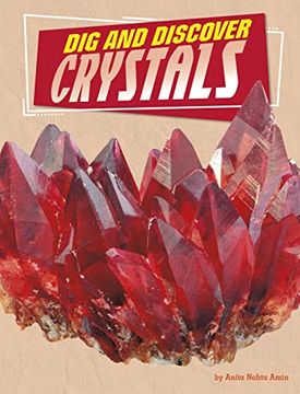 portada Dig and Discover Crystals (en Inglés)