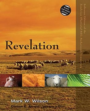 portada Revelation (Zondervan Illustrated Bible Backgrounds Commentary) (in English)