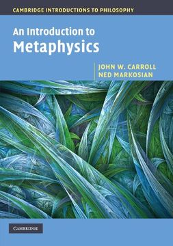 portada An Introduction to Metaphysics (Cambridge Introductions to Philosophy) (in English)