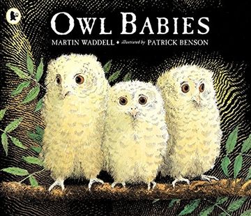 Owl Babies (en Inglés)