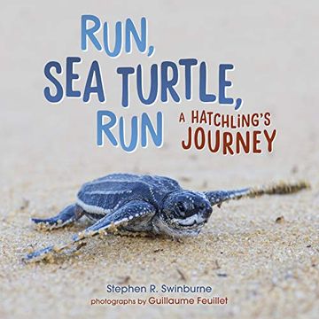 portada Run, sea Turtle, Run: A Hatchling's Journey (en Inglés)