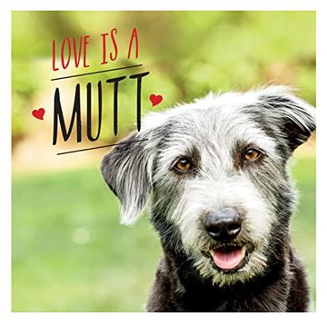 portada Love is a Mutt: A Dog-Tastic Celebration of the World'S Cutest Mixed and Cross Breeds 