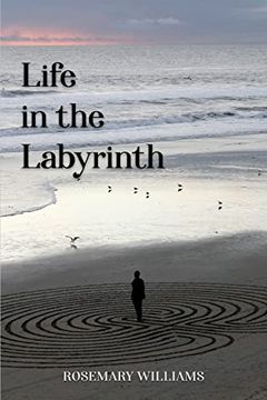 portada Life in the Labyrinth (en Inglés)