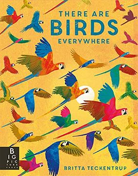 portada There are Birds Everywhere (en Inglés)