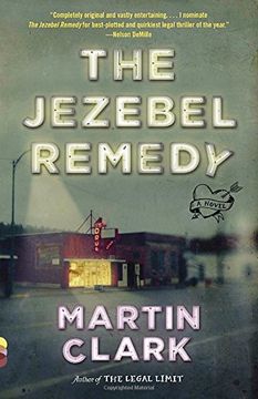 portada The Jezebel Remedy (Vintage Contemporaries) (in English)