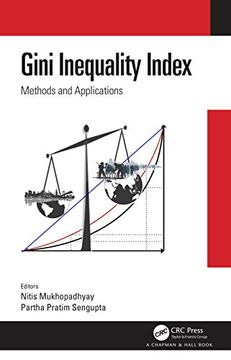 portada Gini Inequality Index: Methods and Applications (en Inglés)