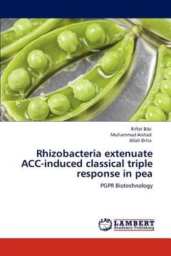 portada rhizobacteria extenuate acc-induced classical triple response in pea (en Inglés)