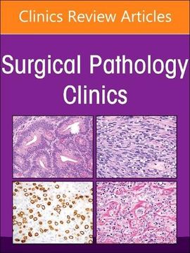portada Soft Tissue Pathology, an Issue of Surgical Pathology Clinics (Volume 17-1) (The Clinics: Surgery, Volume 17-1) (en Inglés)