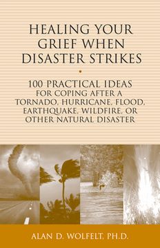 portada Healing Your Grief When Disaster Strikes: 100 Practical Ideas for Coping After a Tornado, Hurricane, Flood, Earthquake, Wildfire, or Other Natural Dis (en Inglés)