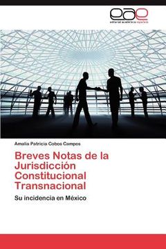 portada breves notas de la jurisdicci n constitucional transnacional (en Inglés)