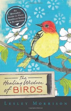 the healing wisdom of birds,an everyday guide to their spiritual songs & symbolism