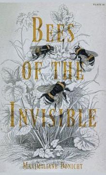 portada Bees of the Invisible (en Inglés)
