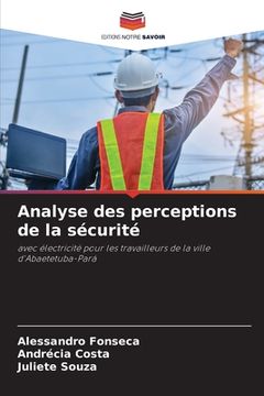 portada Analyse des perceptions de la sécurité (en Francés)