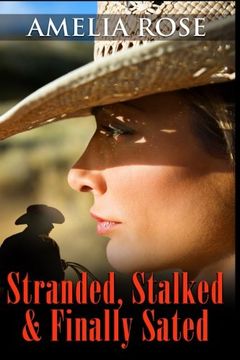 portada Stalked, Stranded and Finally Sated (Contemporary Romance) (License to Love Series:Book 1) (Volume 1)