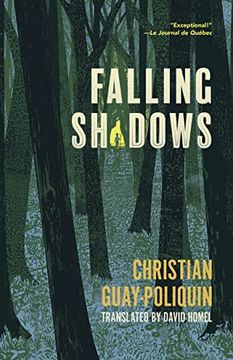 portada Falling Shadows (en Inglés)