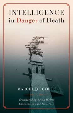 portada Intelligence in Danger of Death (English edition) (en Inglés)