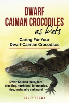 portada Dwarf Caiman Crocodiles as Pets: Dwarf Caiman facts, care, breeding, nutritional information, tips, husbandry and more! Caring For Your Dwarf Caiman Crocodiles