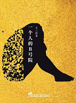 portada 一个人的B号院 (Experimental Chinese Literature) (in Chinese)