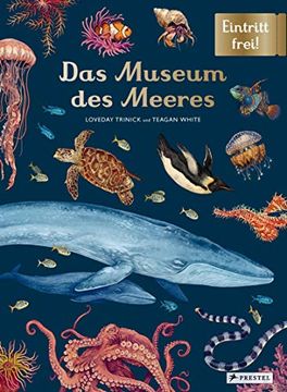 portada Das Museum des Meeres (en Alemán)
