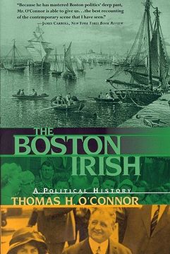 portada the boston irish: a political history (en Inglés)