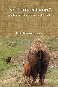 portada is it larry or lariet? an adventure of a little red buffalo calf (en Inglés)