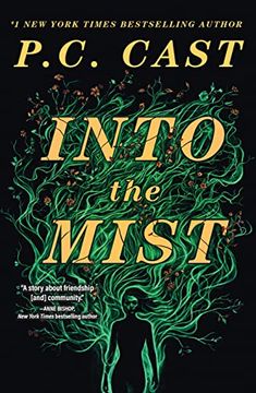 portada Into the Mist: A Novel (in English)