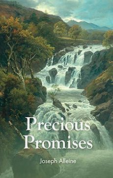 portada Precious Promises (en Inglés)