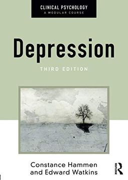 portada Depression (Clinical Psychology: A Modular Course) (in English)