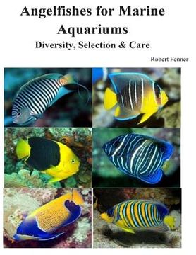 portada Angelfishes for Marine Aquariums: Diversity, Selection & Care (en Inglés)