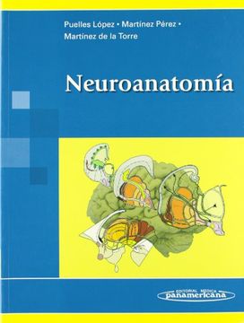 portada Neuroanatomia
