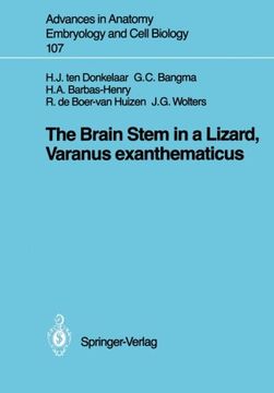 portada the brain stem in a lizard, varanus exanthematicus (in English)