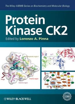 portada Protein Kinase Ck2 (Wiley-IUBMB Series on Biochemistry and Molecular Biology)