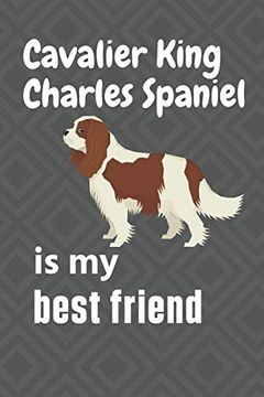 portada Cavalier King Charles Spaniel is my Best Friend: For Cavalier King Charles Spaniel dog Fans (en Inglés)