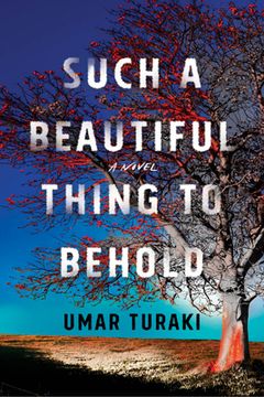 portada Such a Beautiful Thing to Behold: A Novel 