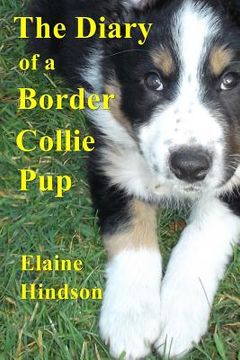 portada Diary of a Border Collie Pup (en Inglés)