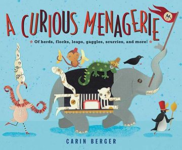 portada A Curious Menagerie: Of Herds, Flocks, Leaps, Gaggles, Scurries, and More! (en Inglés)