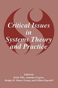 portada Critical Issues in Systems Theory and Practice 