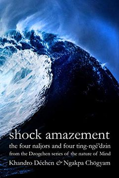 portada Shock Amazement (en Inglés)