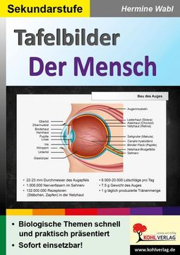 portada Tafelbilder der Mensch (en Alemán)