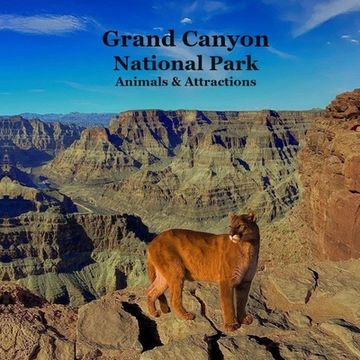 portada Grand Canyon Park Animals and Attractions Kids Book: Great Way for Kids to See the Grand Canyon National Park (en Inglés)